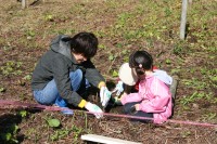 Ｈ２１平成の森植樹親子