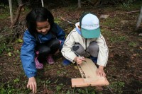 Ｈ２１平成の森植樹看板