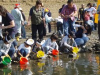 H21親子ふれあい稚魚