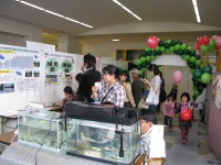 H22hall
