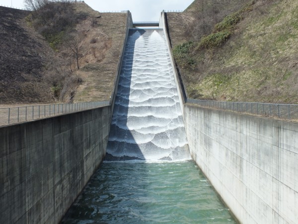 DSCF2554