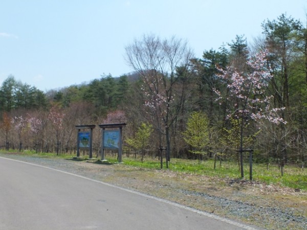 平成2