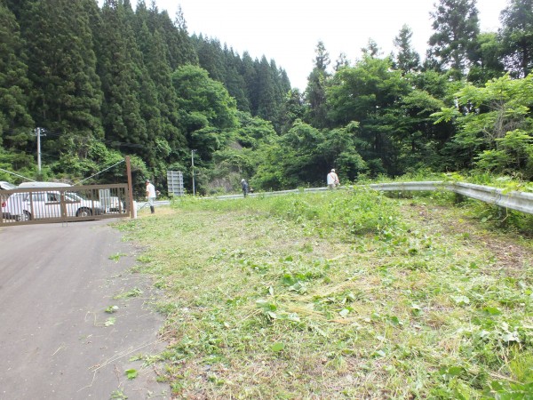 DSCF3178