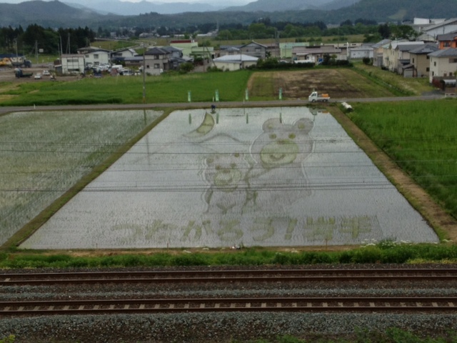 H25.6.3