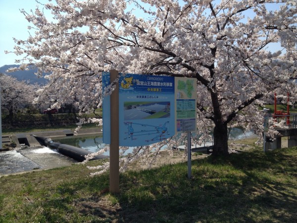 20140425_041343753_iOS
