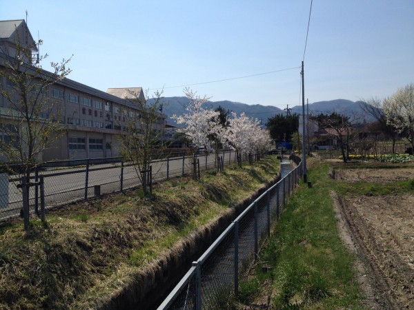 20140425_041731905_iOS
