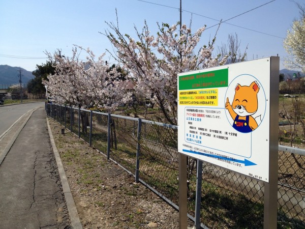 20140425_041823835_iOS