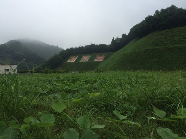 20140821_232634478_iOS