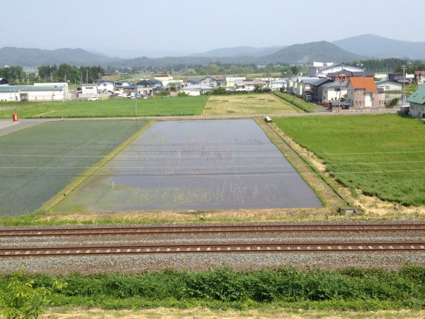 H26田んぼアート
