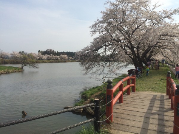 20150419_054302583_iOS