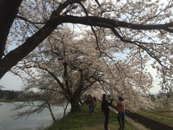 20150419_054344997_iOS