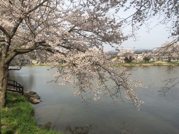 20150419_054452232_iOS