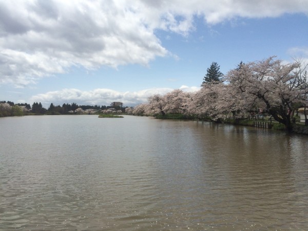 20150421_021539830_iOS