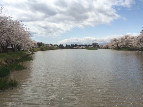 20150421_021551155_iOS