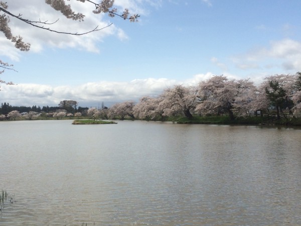 20150421_021637908_iOS