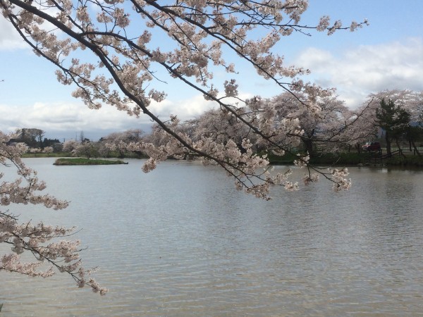 20150421_021721345_iOS