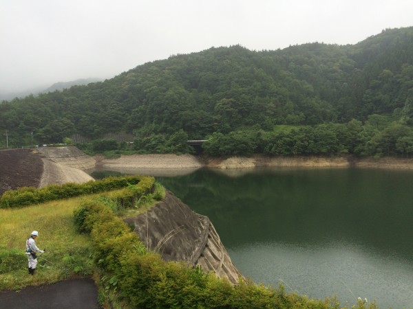 20150625_235839262_iOS