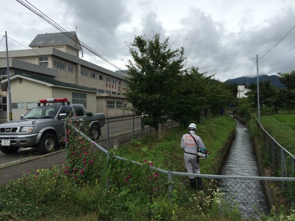 20150723_233617296_iOS